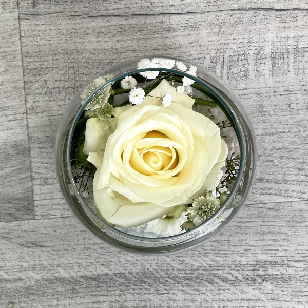 Weiße Rose im Glas Bild 4